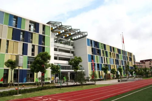 你应该知道的国际学校升学大揭秘