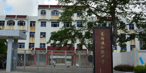 龙湖镇初级中学
