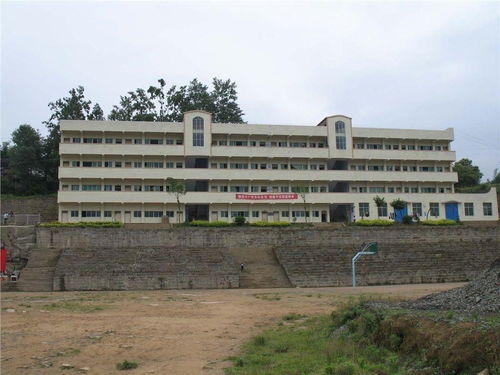 武汉市桥头中学