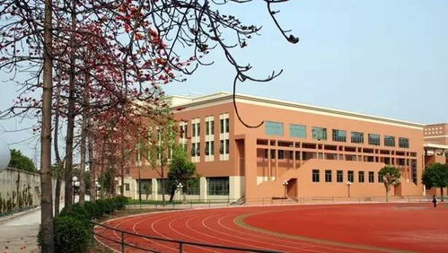 小升初民校巡礼 黄石篇