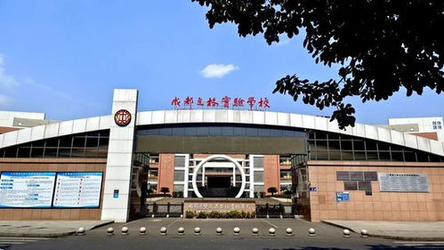全部学生上线一本 立格实验学校首届精品高中高考出征大捷