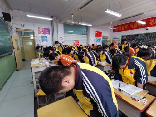 衡水市第十四中学学子悼念袁隆平院士 吴孟超院士