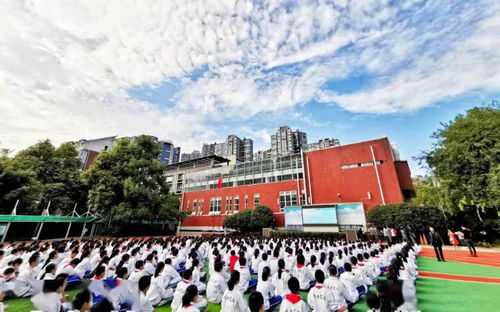 青羊校长说丨成都市青羊实验中学校长陈梅 以人为本,共育未来之才
