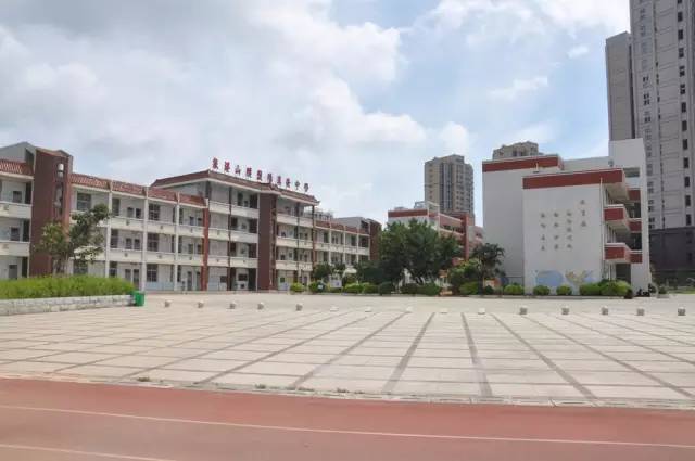 总第617期【新高一录取名单】泉港二中2019级高一年新生录取名单