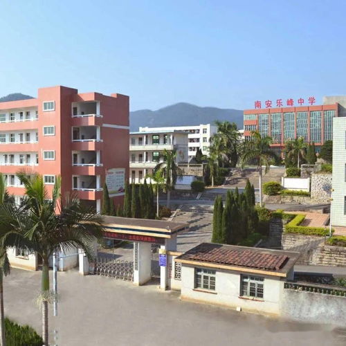 我们的节日 端午万粽一心，疫去风华——乐峰中学开展教师趣味活动