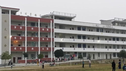 桃映中学 一所承载梦想与希望的乡村学府